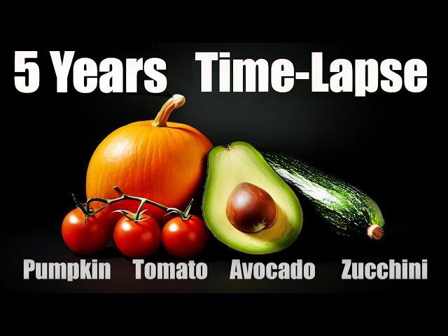 2000 DAYS in just 1 HOUR  Growing Plant Time Lapse LONG COMPILATION