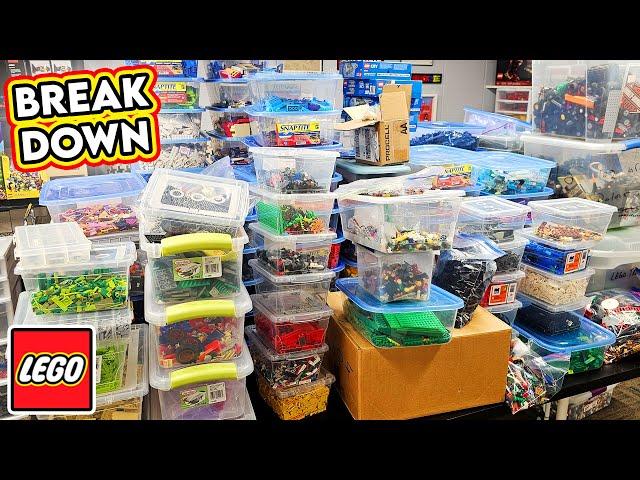 My Biggest BULK LEGO BUY! Finding Gems and Sorting