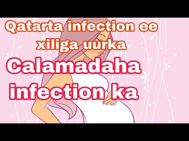 calaamadaha infection ee xaliga uurka Qatarta infection ee xiliga Uurka haadi anaan ladawyn