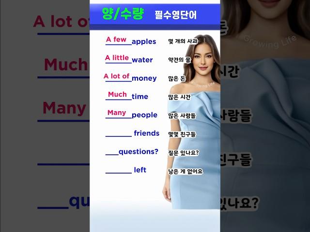 헷갈리는 영어 수량 표현 총정리! A few? A little? Many? Much?