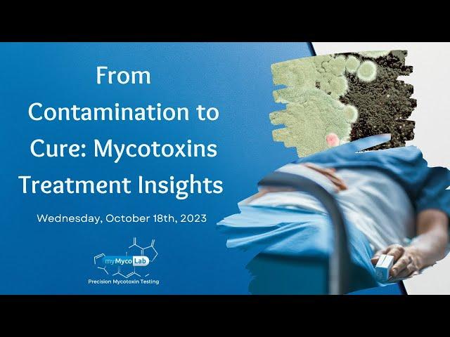 From Contamination to Cure: Mycotoxin Treatment Insights