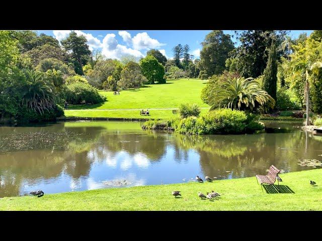 墨尔本生活｜皇家植物园｜舒适休闲的周末 | Explore Melbourne Royal Botanical Garden￼