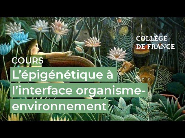 L’épigénétique à l’interface organisme-environnement (1) - Edith Heard (2023-2024)