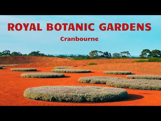 Exploring The Stunning Royal Botanic Gardens At Cranbourne II Australia