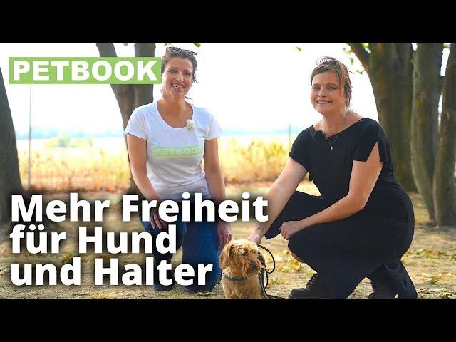 Hunden Rückruf beibringen | Dogschool | PETBOOK