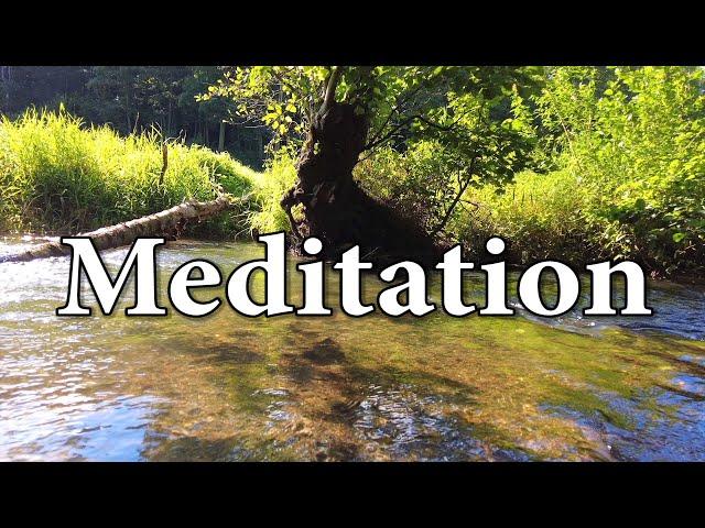 1 Hour Nature Sounds Relaxation -Relaxing Water Sound - Sound of Stream