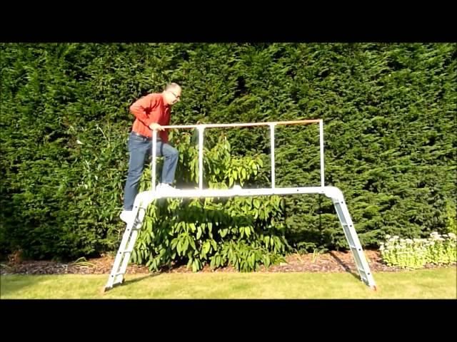 Multi Purpose Ladder Handrail