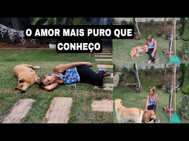 MEUS CACHORROS NAO SOFREM,QUEM SOFREM SAO OS ABANDONADOS A PRÒPRIA SORTE... DOMINGÃO. Cacau Schwarz