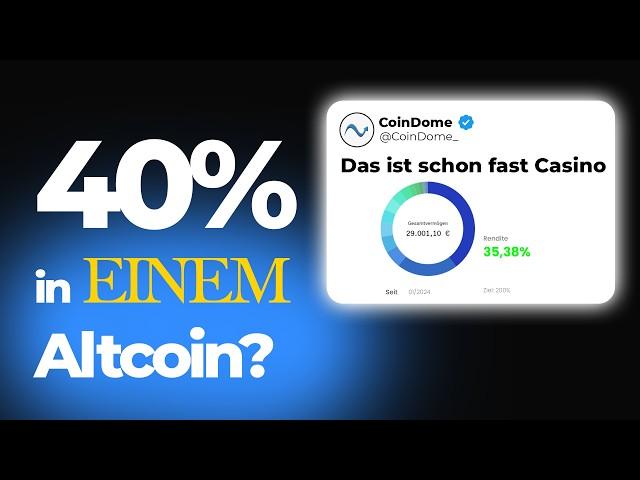 Hochrisiko Portfolio! Zahlt es sich aus? - Eure Portfolios analysieren - CoinDome