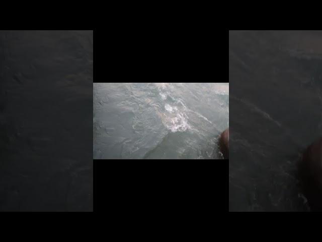 Haridwar Ganga nadi | Ramesh kumar vlogs | Haridwar