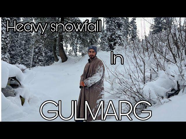 Heavy snowfall ️️in Gulmarg,Kashmir || 27 December 2024 || Teli Tanveer vlogs