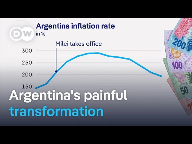 Did Milei follow through on his radical economic plans for Argentina? | DW News