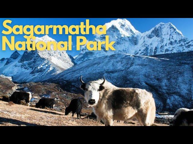 Exploring the Majestic Sagarmatha National Park, Nepal