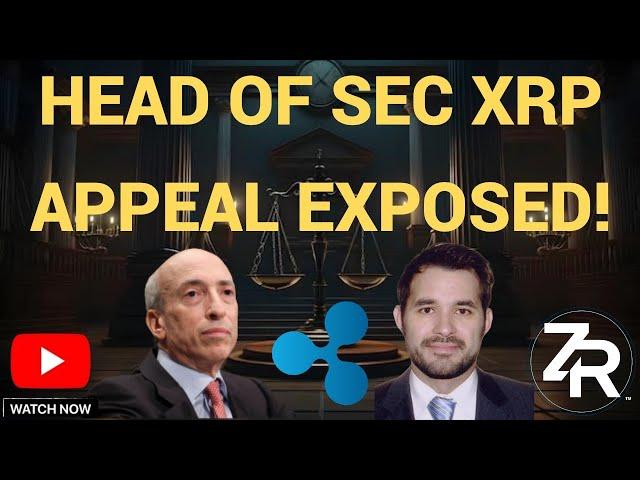 Head Of SEC's XRP Appeal EXPOSED!