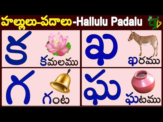 హల్లులు - పదాలు #HALLULU PADALU | Telugu Hallulu WORDS | Learn telugu words | Telugu vanam