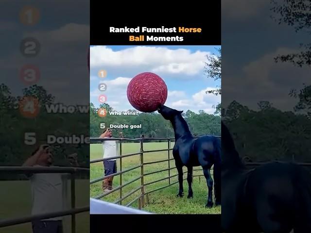 Ranked Funniest Horse Ball Moments ever!