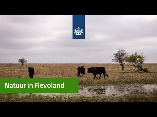 Natuurbeheer | Minister van der Wal op bezoek bij de Marker Wadden en Oostvaardersplassen