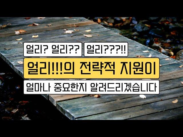 얼리? 얼리?? 얼리!!!의 전략적 지원이 얼마나 중요한지 알려드리겠습니다.