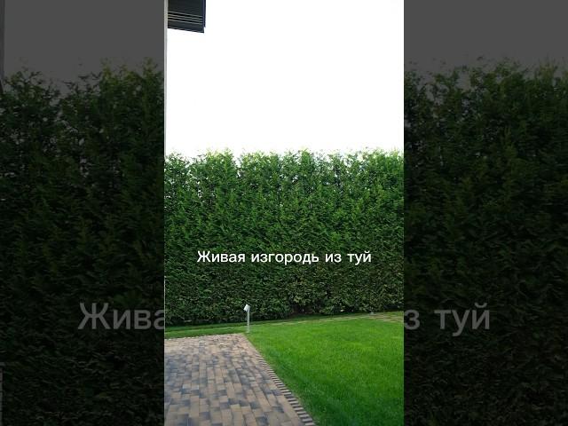 Школа ландшафтного дизайна ВИД. Станьте профессиональным ЛД с высокими чеками! Ссылка в описании.