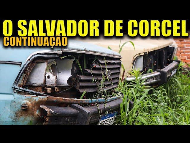 SALVADOR DE CORCEL: MAIS de 50 foram SALVOS! continuação da GARAGEM do JUNIOR!