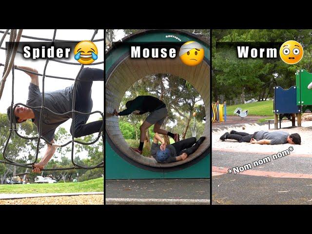 How Different Animals Use The Playground (Part 1-2 Compilation)