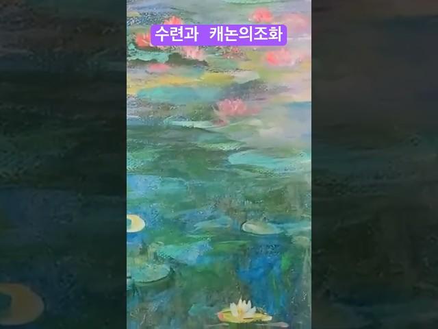 캐논과 수련의 만남 #어린왕자갤러리 #캐논 #수련그림