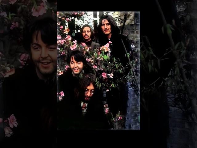 The Beatles! ️