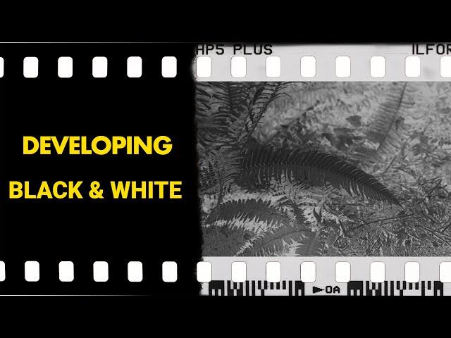 Step by Step Guide To Developing Your Black And White Film (Part 3)