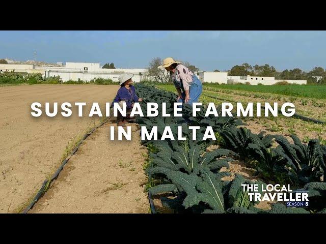 Sustainable Farming in Malta | S5 EP: 15, part 1 | The Local Traveller with Clare Agius | Malta