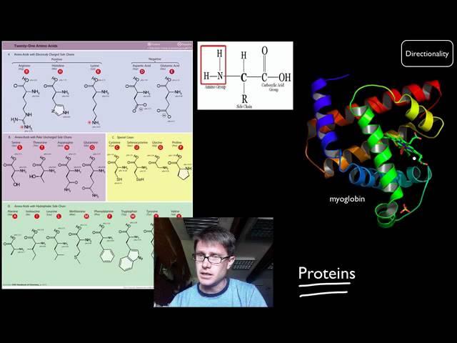 Biological Molecules