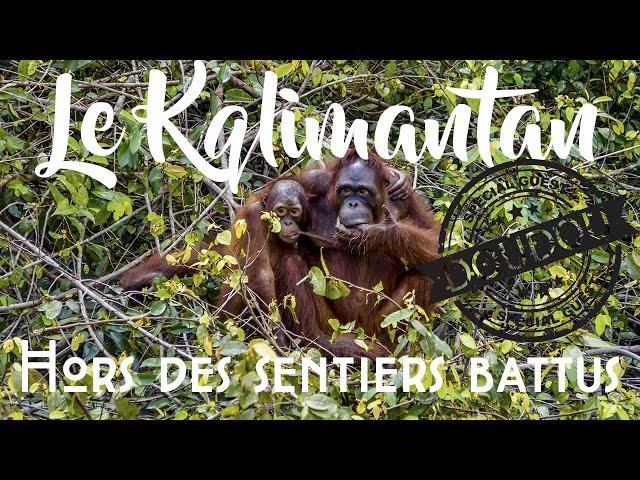 We Love Indonésie #3 - Le Kalimantan hors des sentiers battus