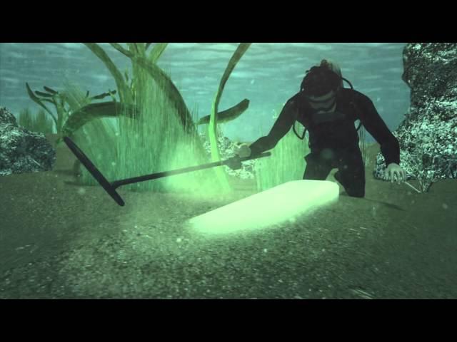 Pirate’s treasure found: divers find silver belonging to Captain William Kidd