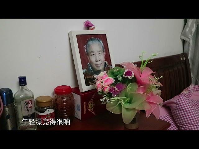 专题片《养老愿》