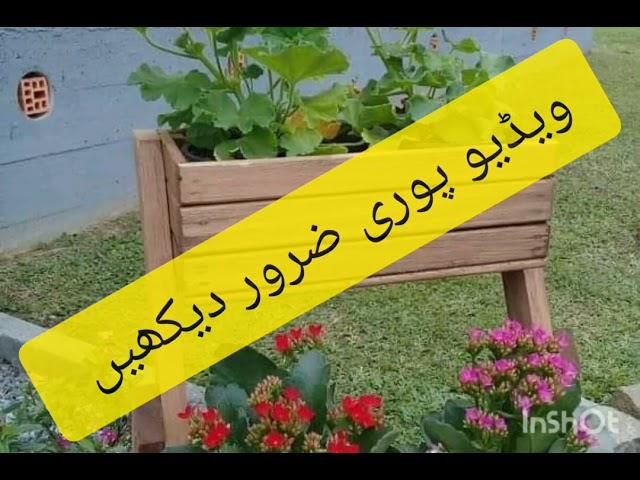 Nadeem Choudhary S