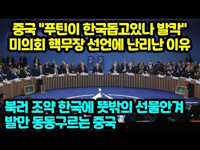 중국 "푸틴이 한국돕고있나 발칵" 미의회 핵무장 선언에 난리난 이유 북러 조약 한국에 뜻밖의 선물안겨 발만 동동구르는 중국