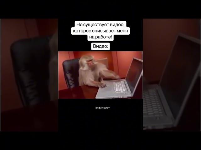 @Batyashev - здесь про бизнес на маркетплейсах #маркетплейс #китай #озон #товарка #товарныйбизнес