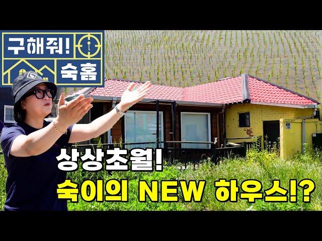 [구해줘 숙홈] 덕팀장 김숙의 NEW! 보금자리 찾기 프로젝트