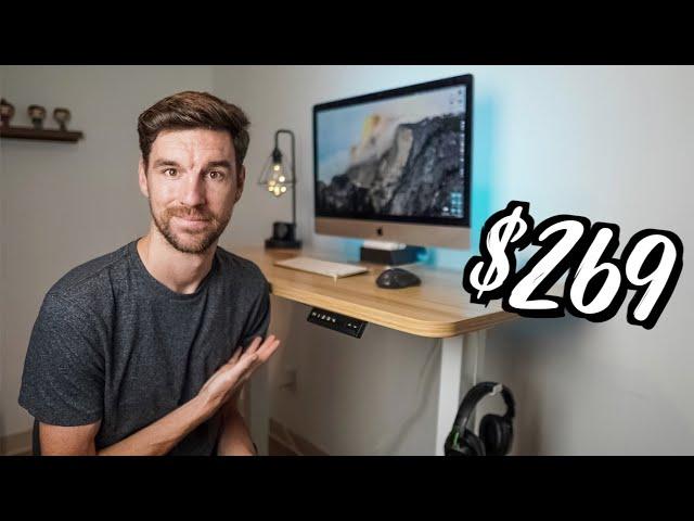 The Best Standing Desk For UNDER $300! (WOKA Dural Motor Standing Desk)