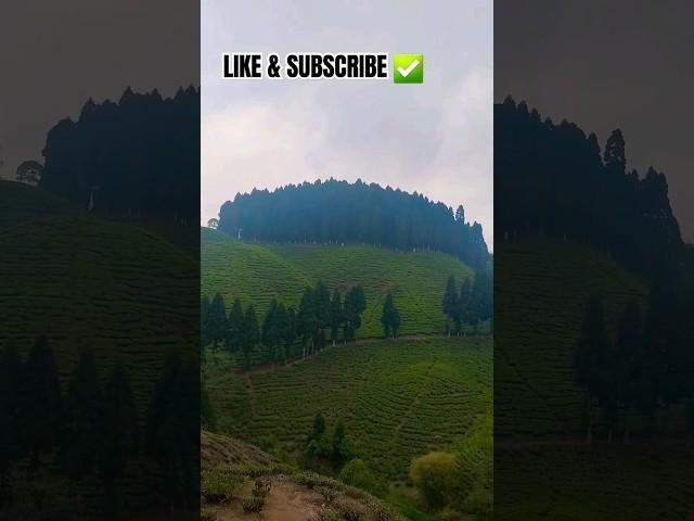 Travel Vlog ! #travel #vlog #india #explore