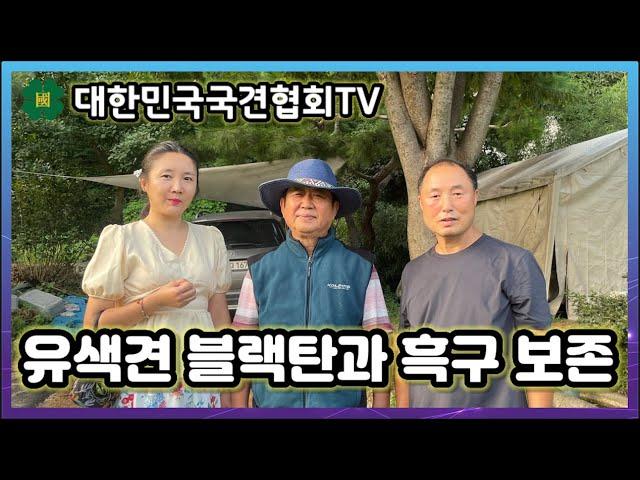 유색견 블랙탄과 흑구 보존 | 대한민국국견협회TV