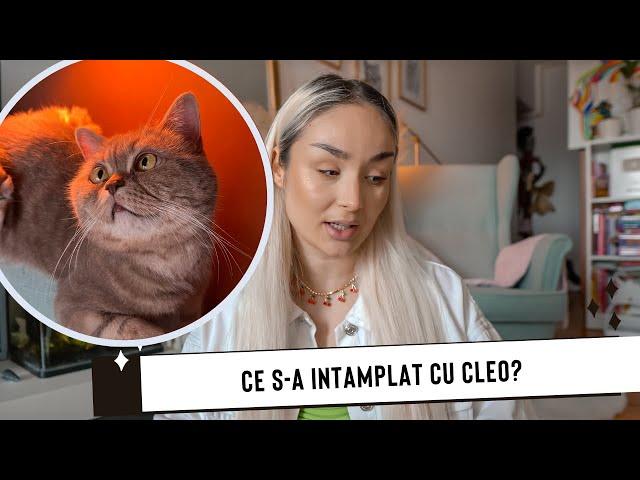 Ce s-a intamplat cu Cleu meu? | Pierderea Cleopatrei |