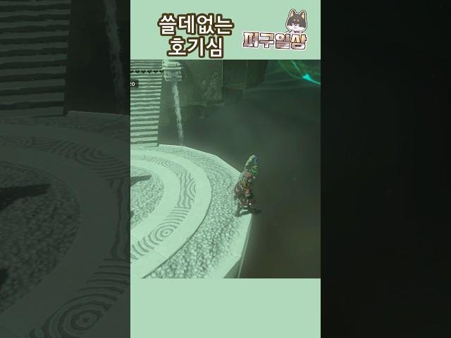 호기심 천국이 위험한 이유(소리주의!!)