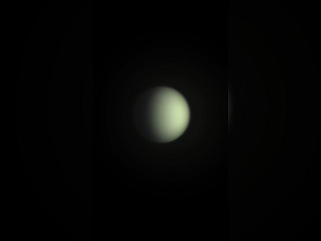 Venus through an 11” telescope #telescope #venus #shorts