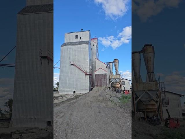 Sintaluta, Saskatchewan Grain Elevator