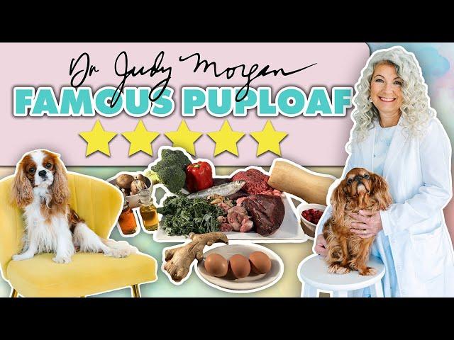 Making Puploaf with Dr. Judy Morgan