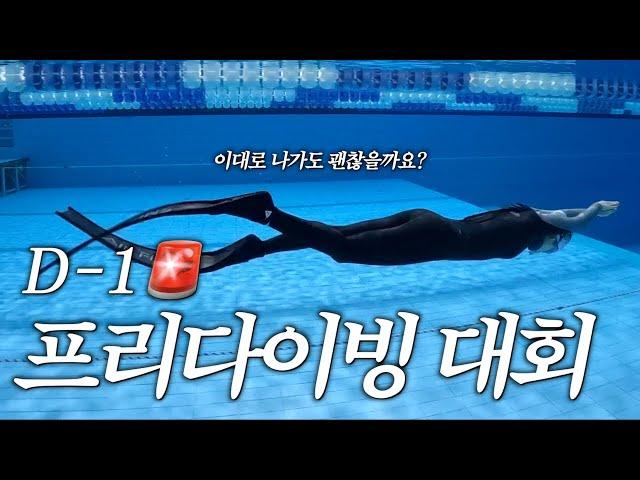 대회 D-1| 프리다이빙 성장기 | 다이나믹 트레이닝 과정 & 꿀팁 대방출