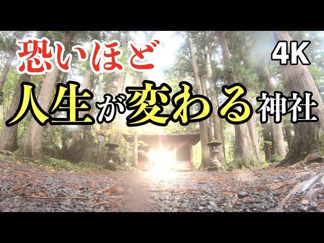 人生超開運 強力な運気をいただける！ パワースポットひとり旅#33 戸隠神社奥社 九頭龍社 中社  4K