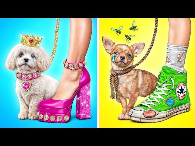 Rich Dog VS Poor Dog by Multi DO Smile