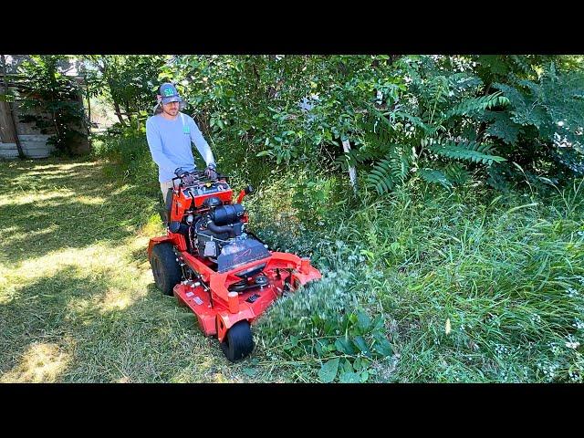 She was FINED for not mowing, but the CITY owns it now and STILL won’t mow