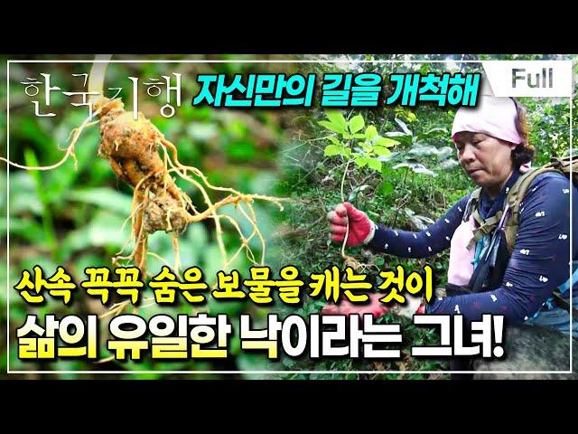 [Full] 한국기행 - 한방 기행 2부 산중 보물 찾기